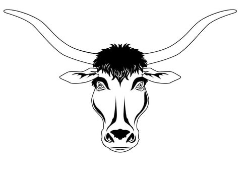 Longhorn Head Coloring Page